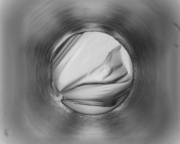 X0000098150860200805151203