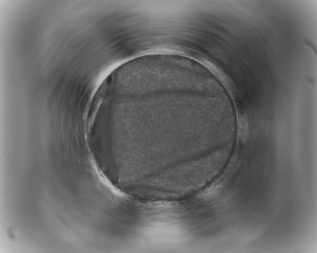 X0000098150862200805151203