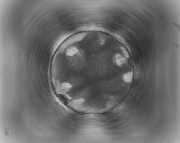 X0000098150863200805151203