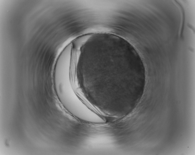 X0000098150864200805151203