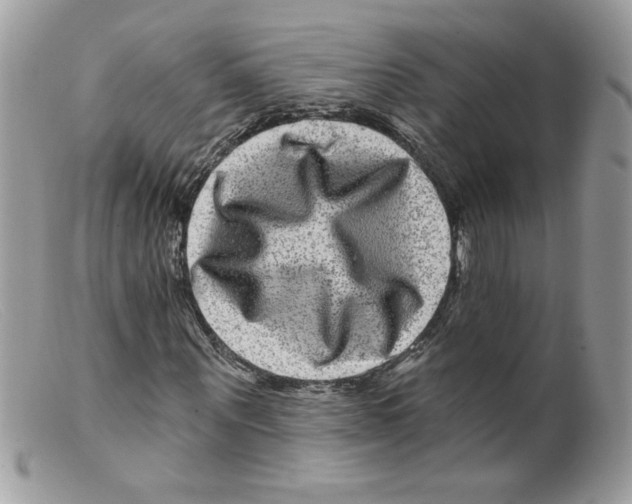 X0000098150867200805151202