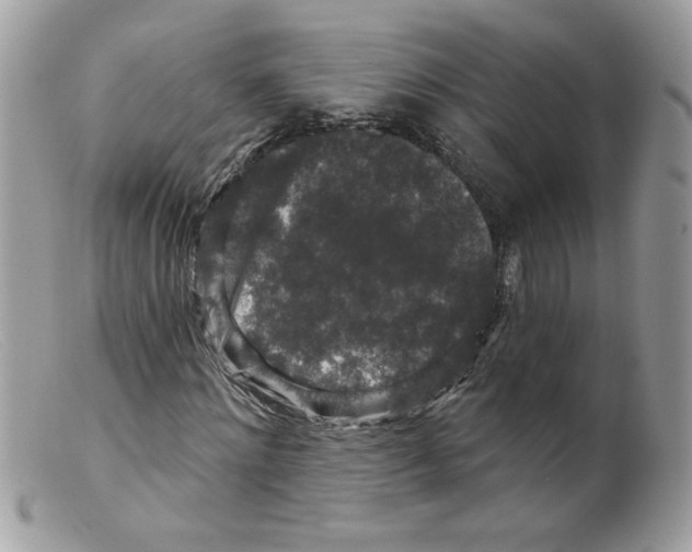 X0000098150868200805151202