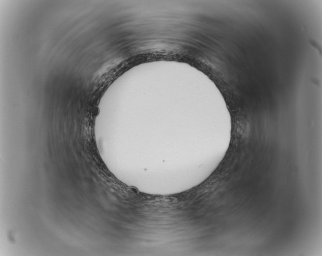 X0000098150869200805151202