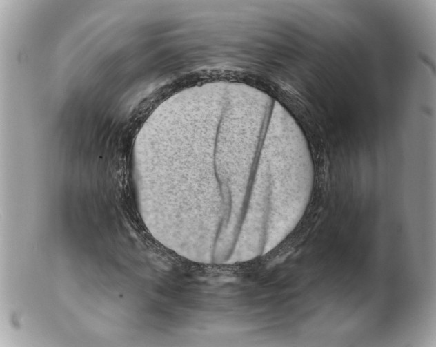 X0000098150870200805151202