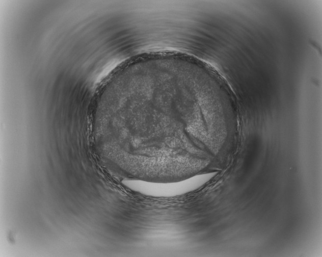 X0000098150871200805151202