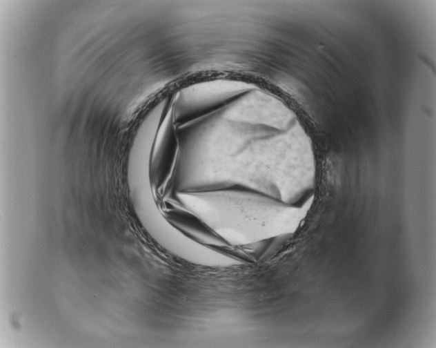 X0000098150872200805151202