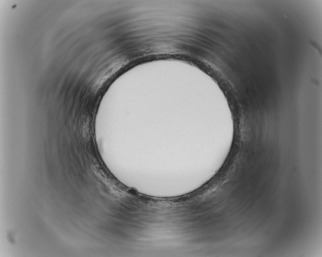 X0000098150873200805151202