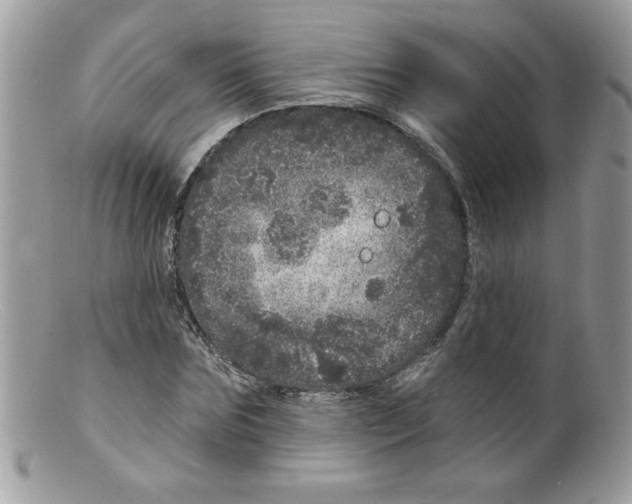 X0000098150875200805151202