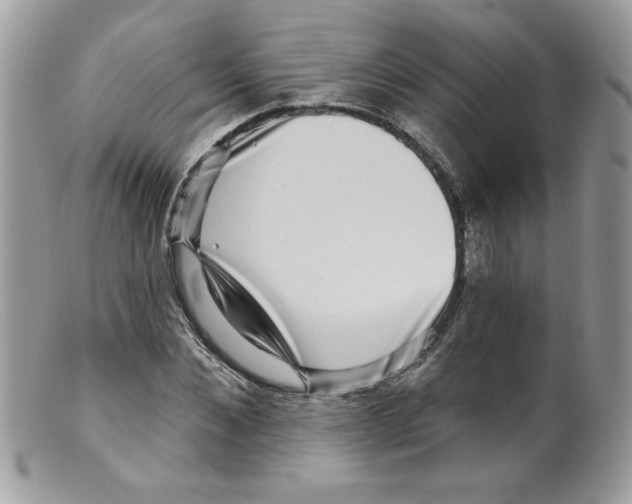 X0000098150876200805151202