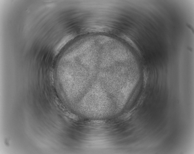 X0000098150878200805151202