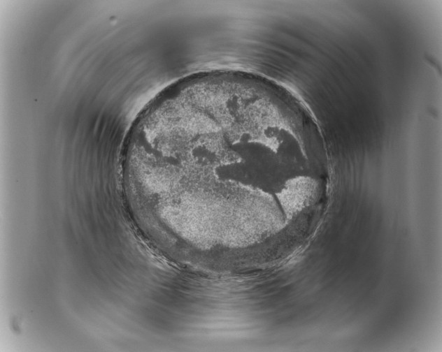 X0000098150879200805151202