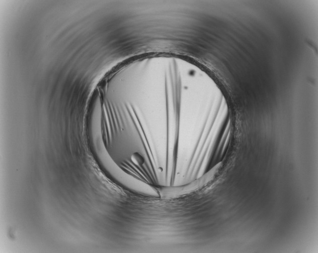 X0000098150880200805151202