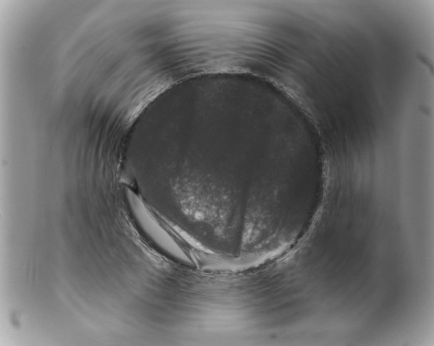 X0000098150881200805151202