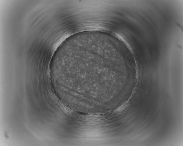 X0000098150883200805151202