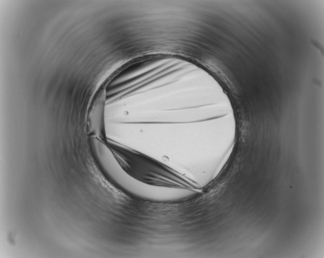 X0000098150884200805151202