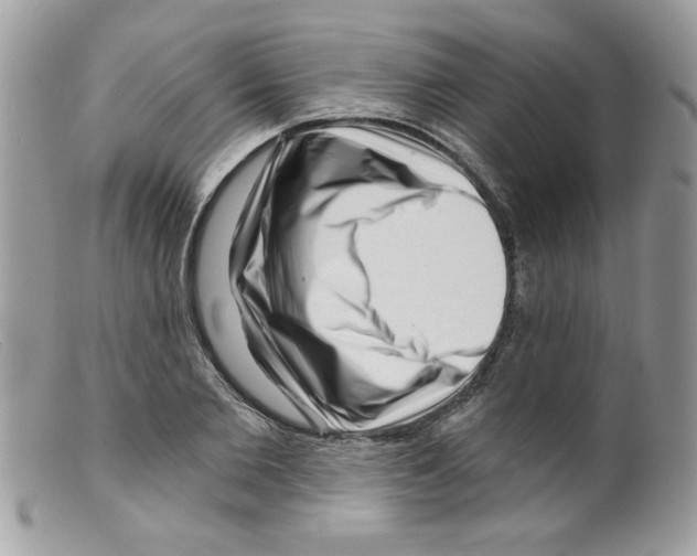 X0000098150885200805151202