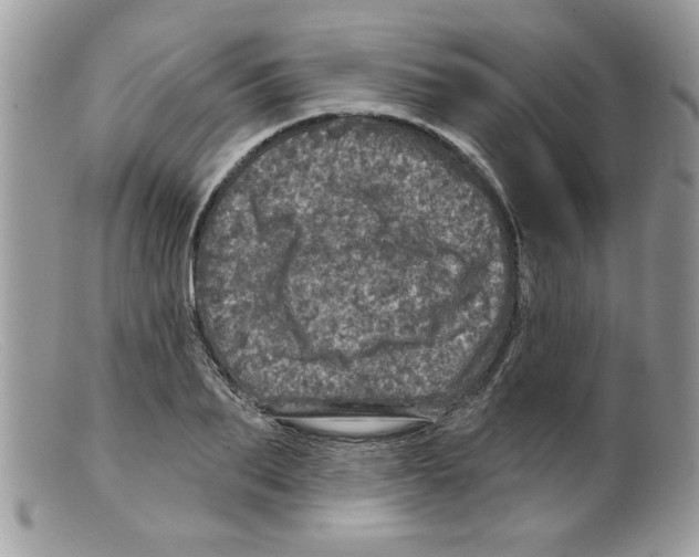 X0000098150887200805151202