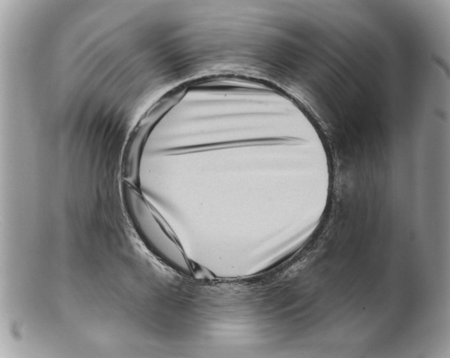 X0000098150888200805151202