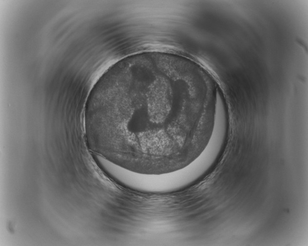 X0000098150891200805151202