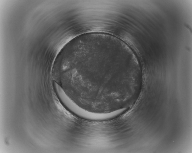 X0000098150892200805151202