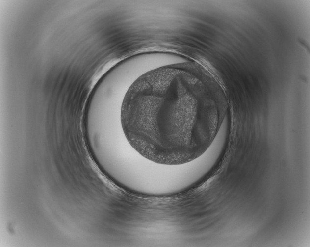 X0000098150893200805151202