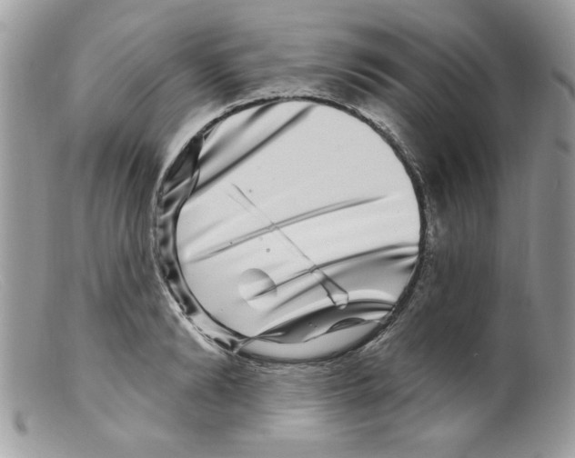X0000098150894200805151202