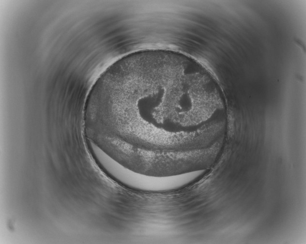 X0000098150895200805151202
