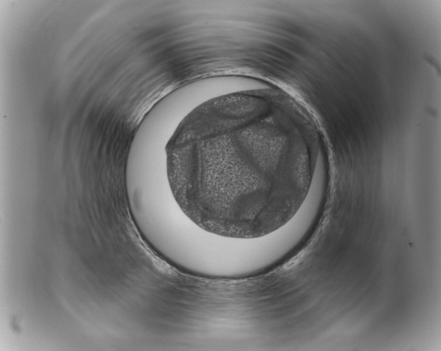 X0000098150897200805151202