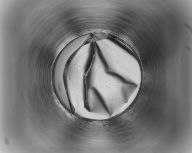 X0000098150898200805151202