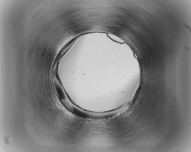 X0000098150900200805151202