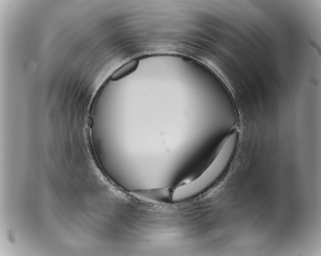 X0000098150901200805151202
