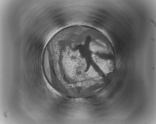 X0000098150903200805151202