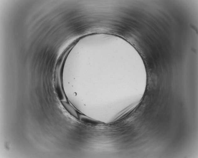 X0000098150904200805151202