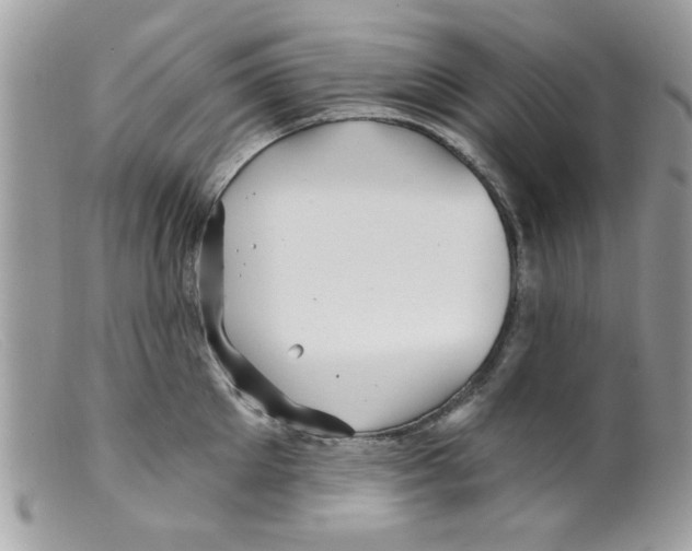 X0000098150905200805151202