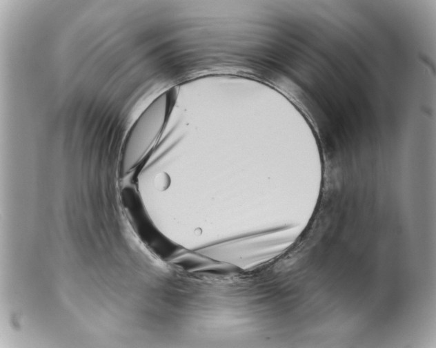 X0000098150906200805151202