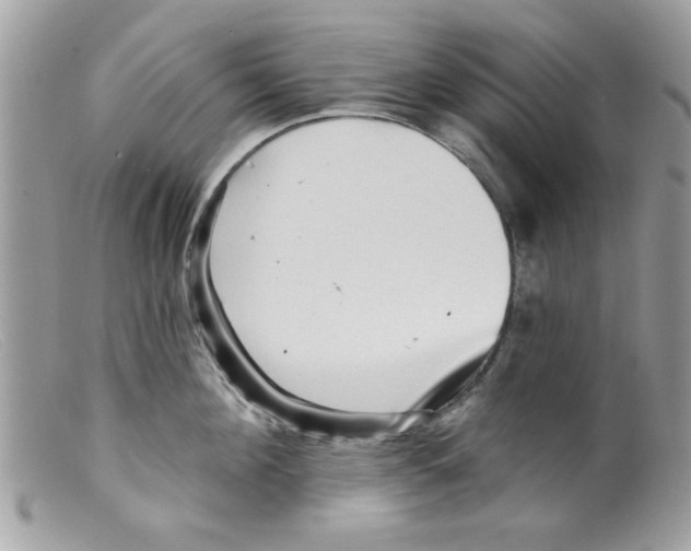 X0000098150908200805151202