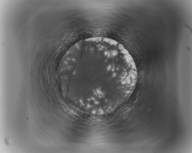 X0000098150913200805151201