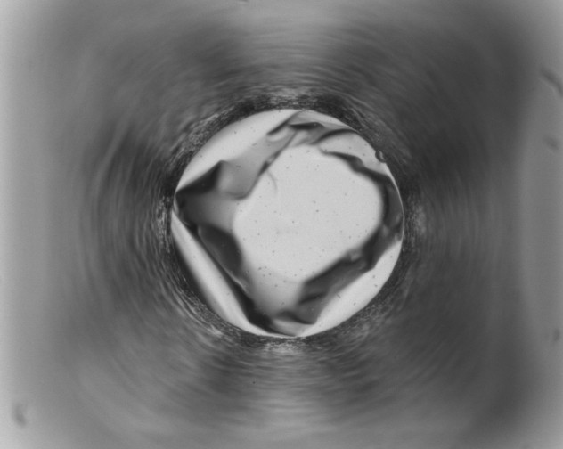 X0000098150914200805151201