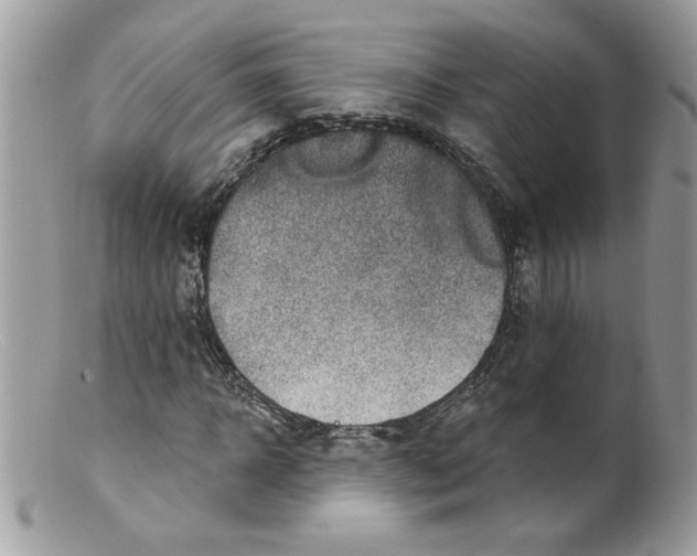 X0000098150918200805151201