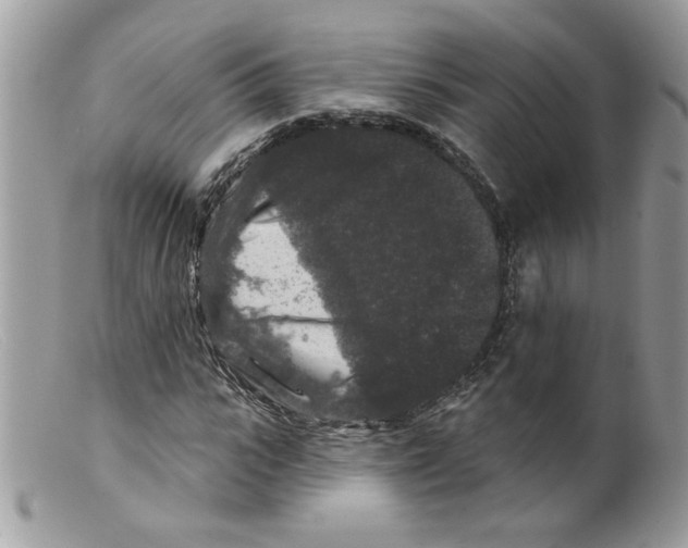 X0000098150919200805151201