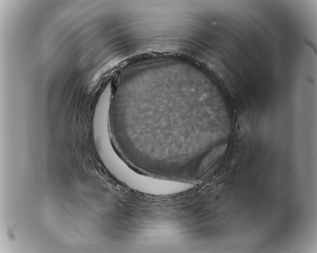 X0000098150920200805151201