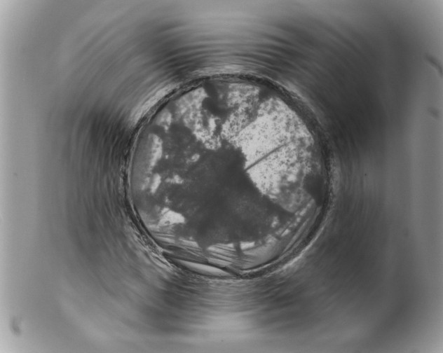 X0000098150921200805151201