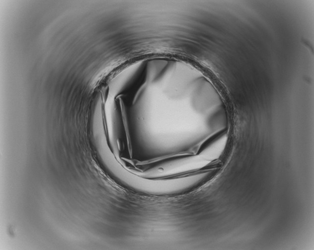 X0000098150922200805151201