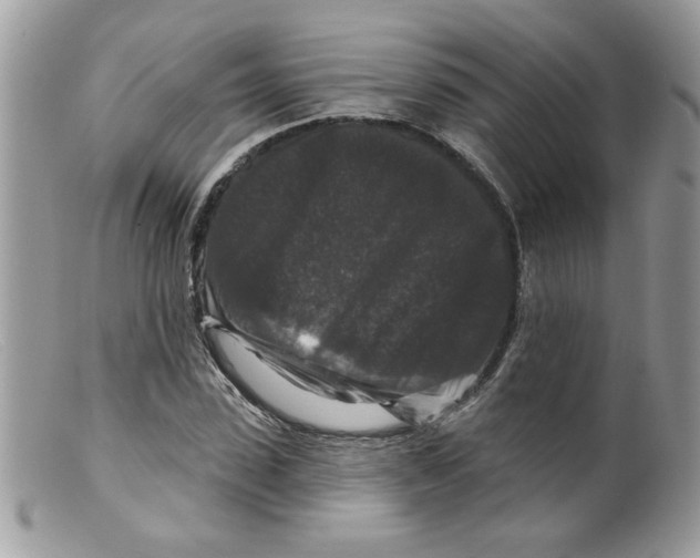 X0000098150923200805151201
