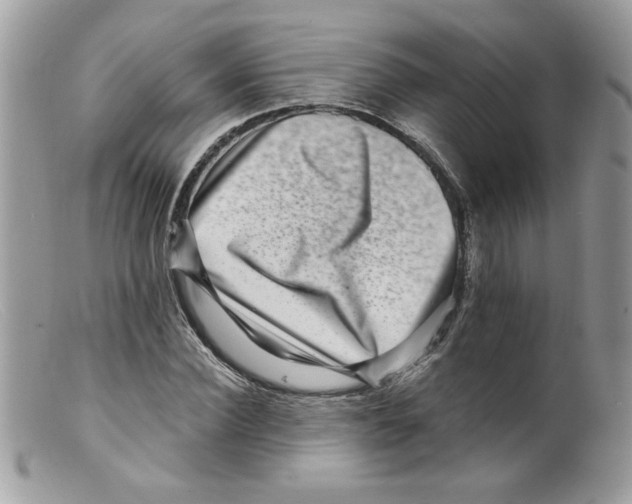 X0000098150924200805151201
