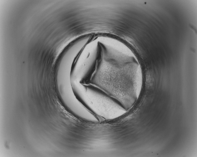 X0000098150926200805151201