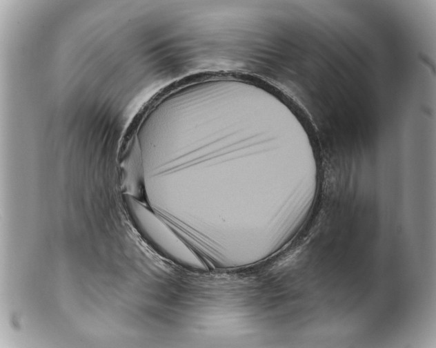 X0000098150927200805151201