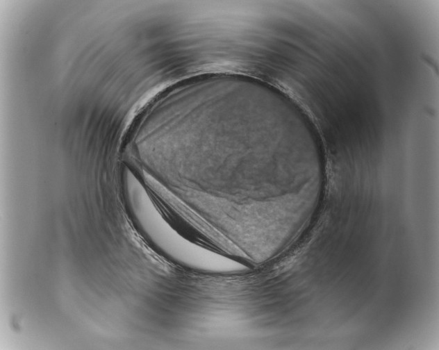X0000098150931200805151201
