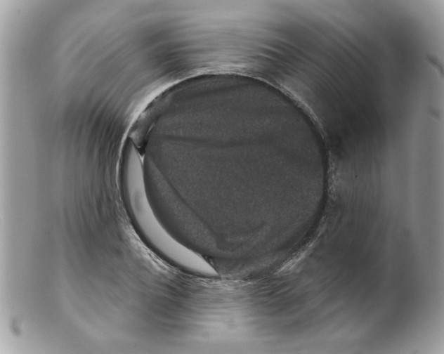 X0000098150932200805151201