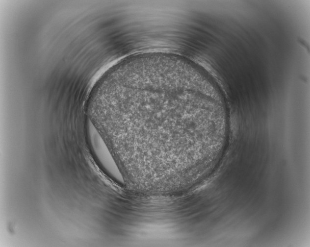 X0000098150933200805151201